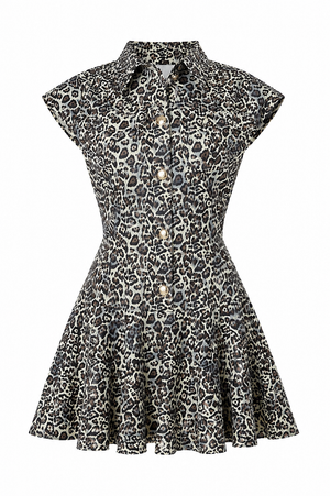 ZANDER DRESS